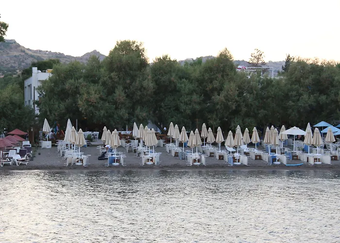Meggs Bodrum Beach Restaurant &