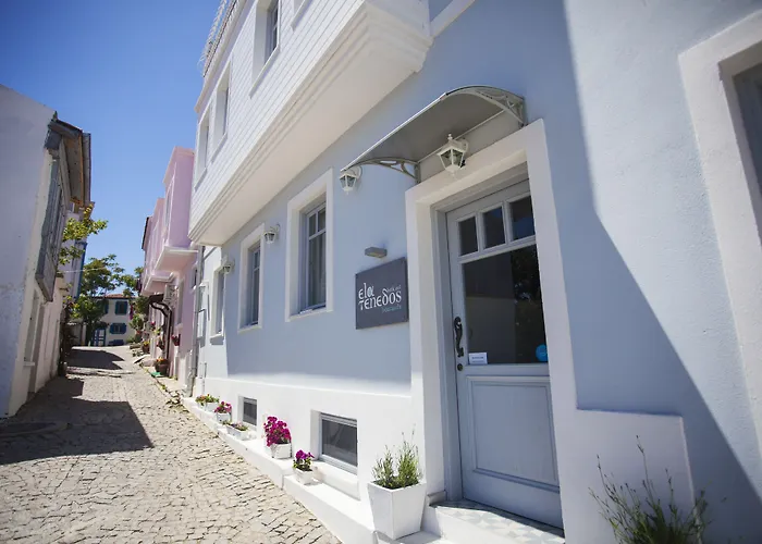 Ela Tenedos Hotel - Special Category (Adults Only)