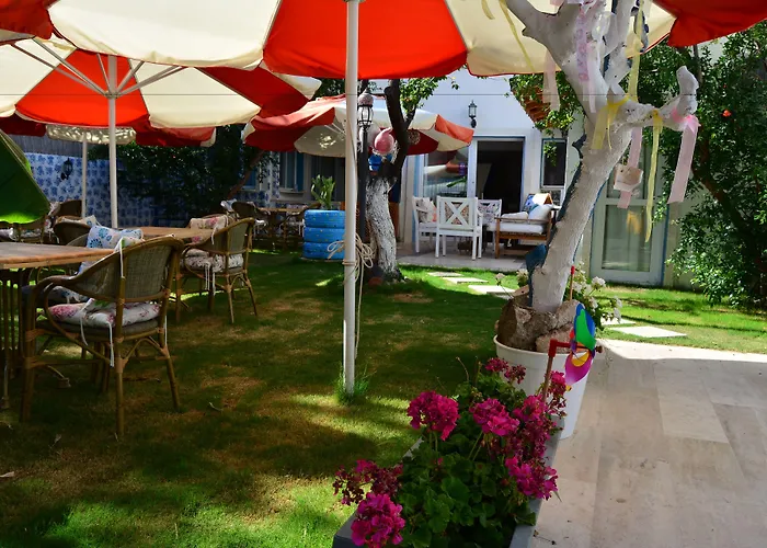 Mavi Butik Apart