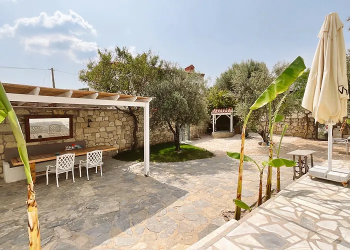 Temucin Hotel