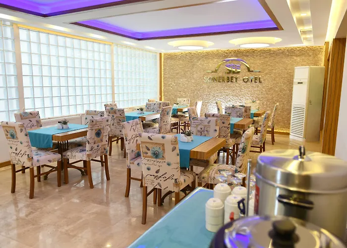 Sonerbey Otel Ordu, Türkiye