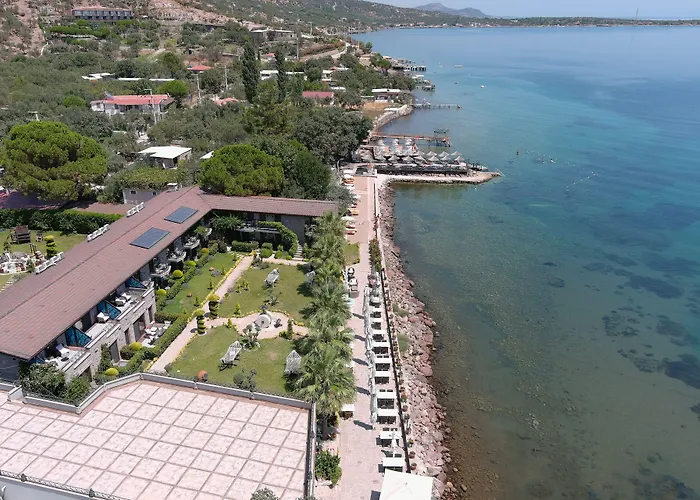 Assos Zeytin Han Special Class (Adults Only)