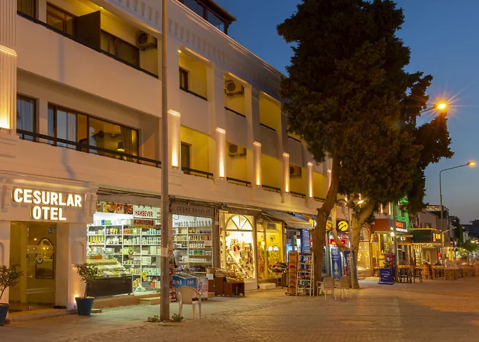 Cesurlar Hotel