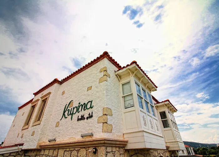 Kupina