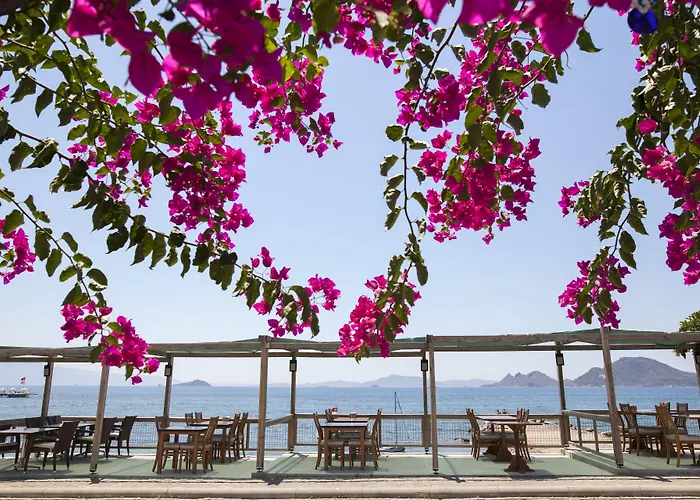 One More Day Hotel Turgutreis, Türkei