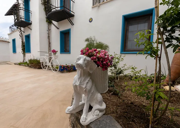 Amfora Hotel