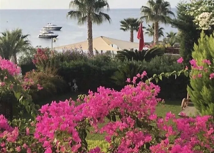 Aura Residence Bitez, Türkiye