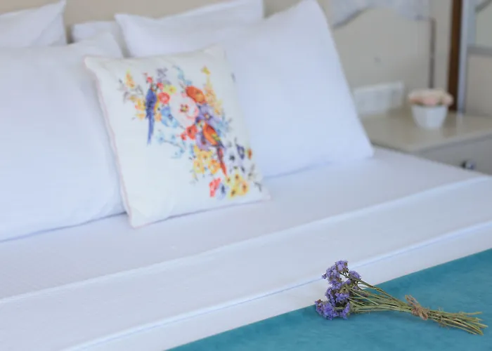 Cunda House Kuecuek Otel Ayvalı, Türkiye