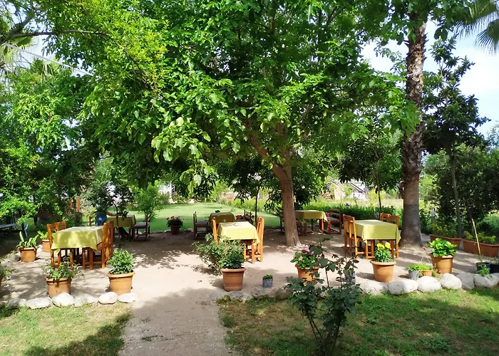 Olympos Yavuz