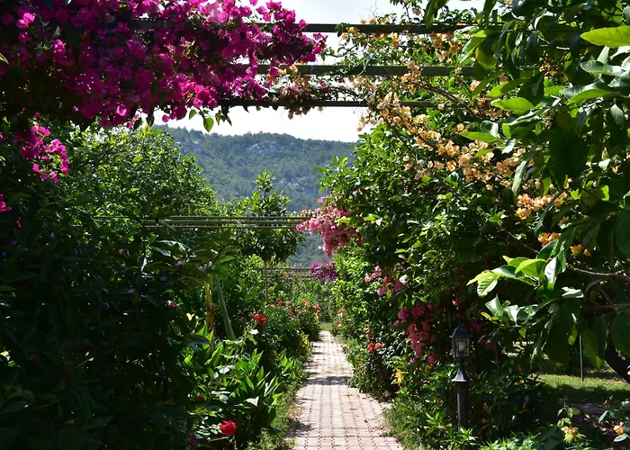Lemon Garden Lodge Çıralı, Türkiye