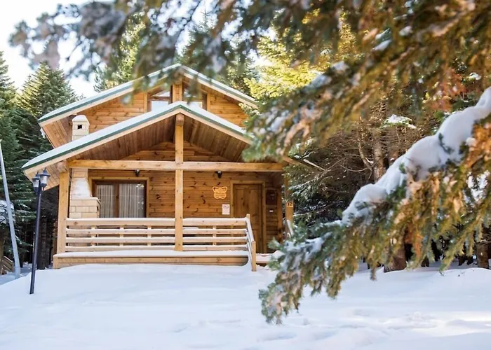 Uludag Orman Koskleri Villa, Türkiye