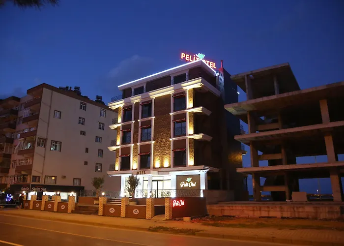 Pelıt