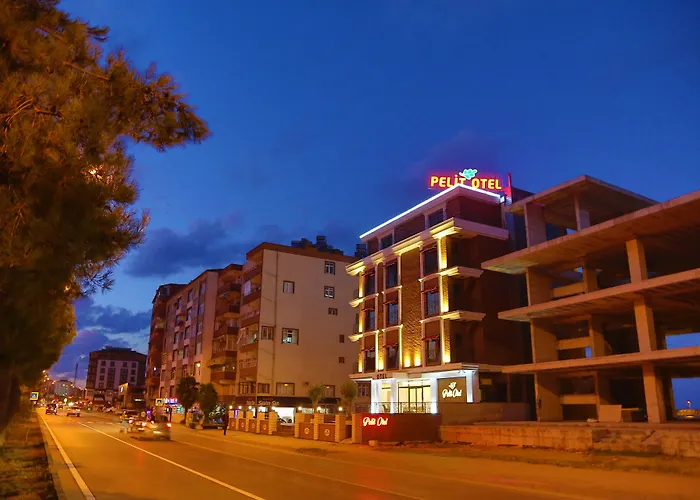 Pelıt