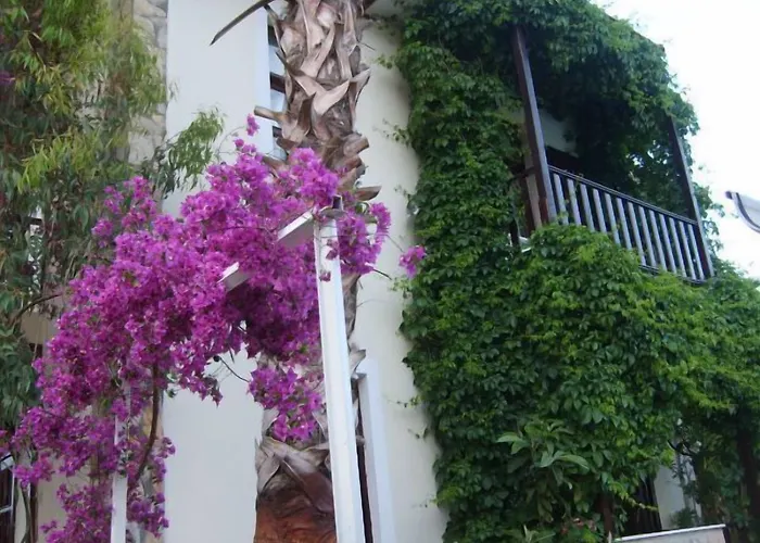 Erciyes Apart Hotel Fethiye, Türkiye