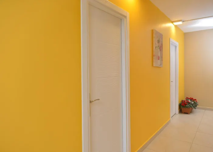 Spil Suites