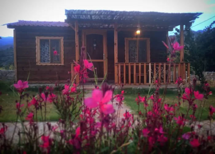 Ipekce Tatil Evleri