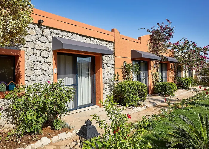 Fi Light Solto Boutique Beach