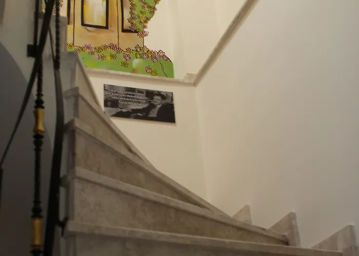 Butik Akvaryum Adalar, Türkiye