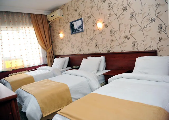 Saray Hotel Edirne, Türkiye