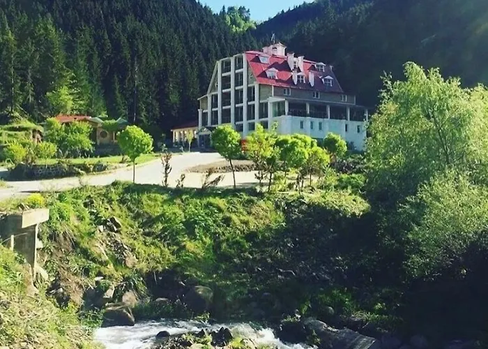 Hotel Green Valley Savsat