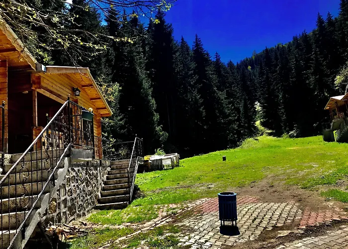 Hotel Green Valley Savsat