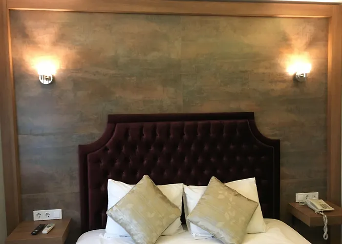 Guleryuz Hotel Ankara, Türkiye