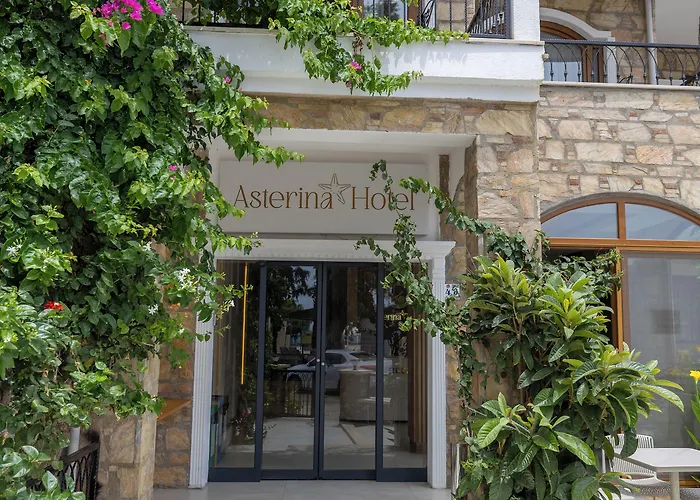 Asterina