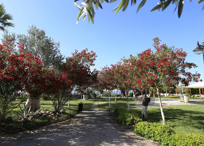 Rawda Resort Hotel Altinoluk