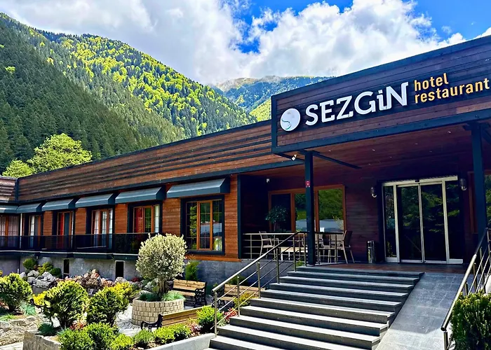 Sezgin