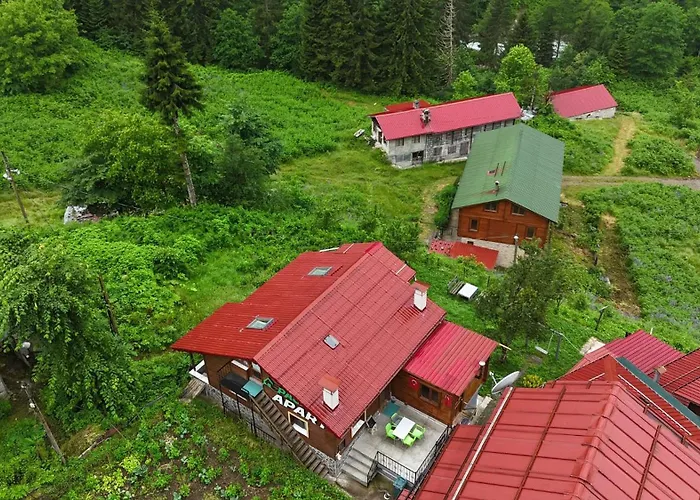 Ayder Palas Apart Hotel