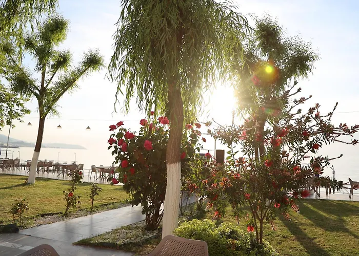 Grand Koru Beach