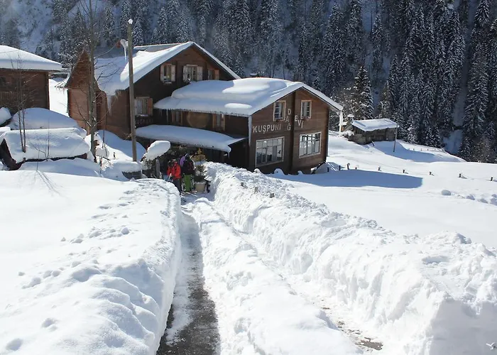 Kuspuni Dag Evi Villa Çamlıhemşin, Türkiye