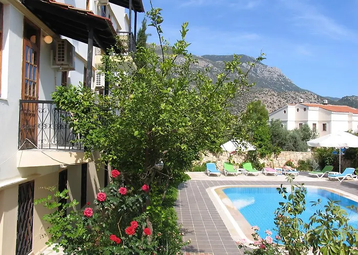 Pasha Suites