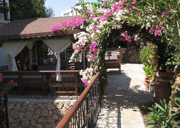 Pasha Suites