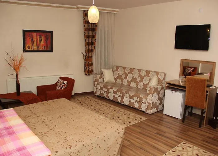 Aymini Hotel Ankara, Türkiye