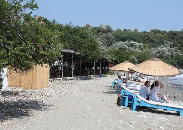 Mazi Sahil Pansiyon, Türkiye