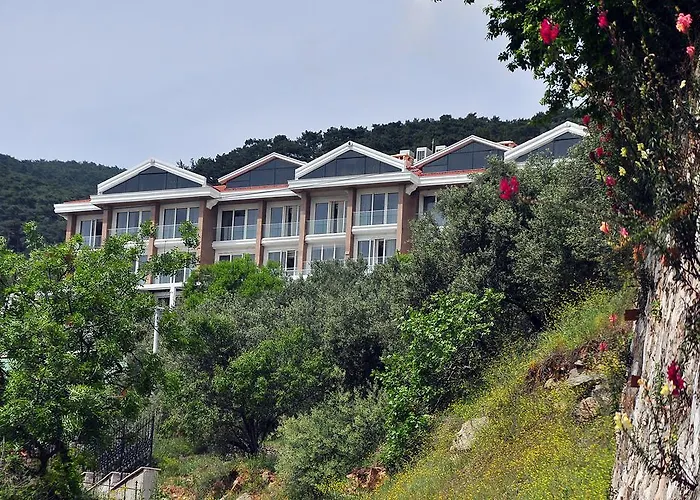 Rezone Health&Oxygen Kazdağları