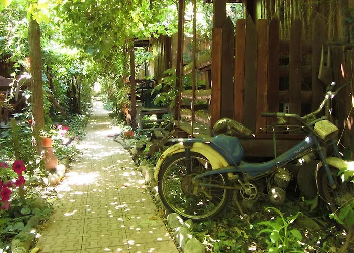 Olympos Natural Pansiyon