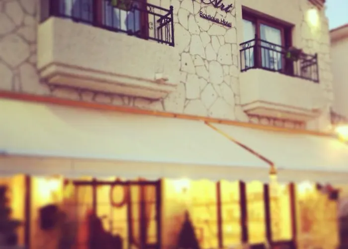 Peri Art Hotel