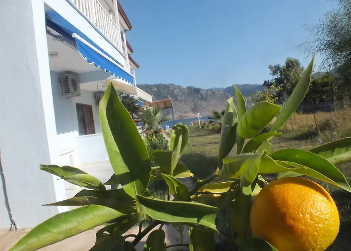 Dantel Sahil Hotel