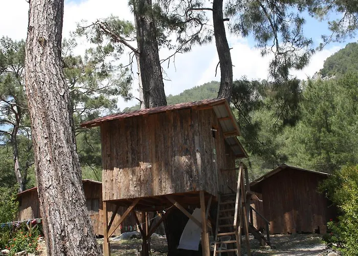 Olimpos Ağaç Evler