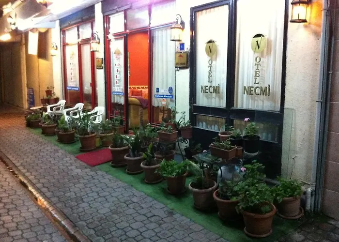 Hotel Necmi