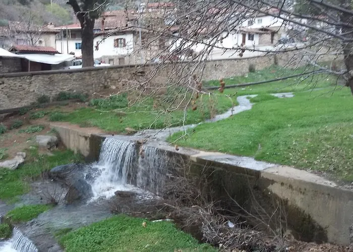 Birgi Cinaralti Pension