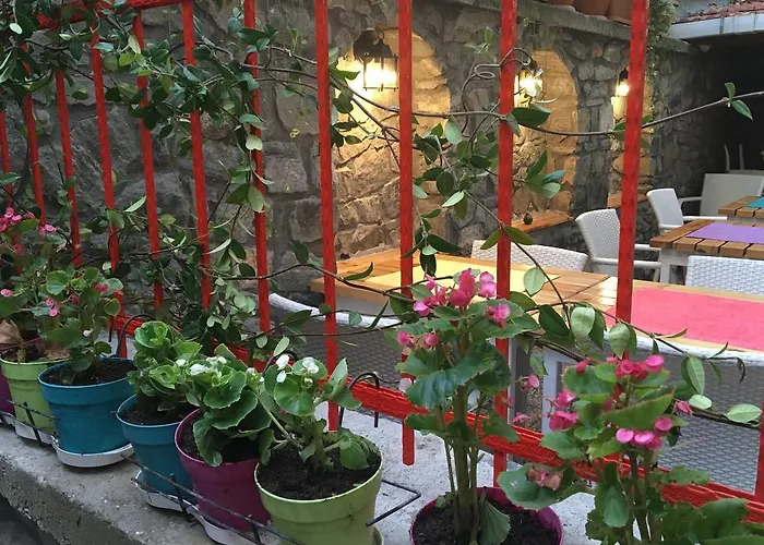 Tirilye Evi Otel Zeytinbagi, Türkiye