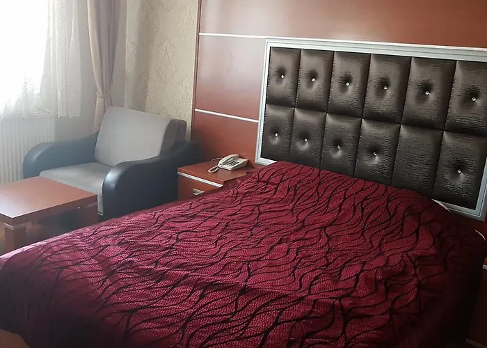 Kafkas Ari Hotel Ardahan, Türkiye