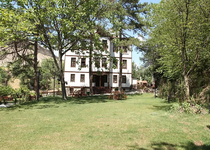 Asya Konak