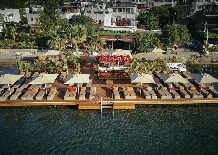Galen Beach House