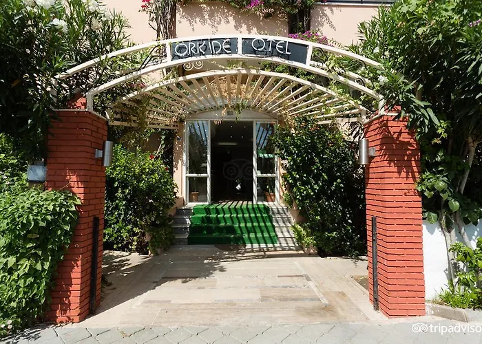 Orkide Hotel
