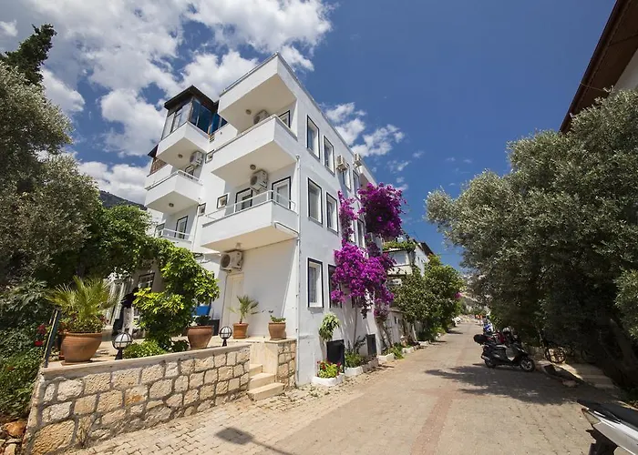 Selim Pension - Adult Only + 16