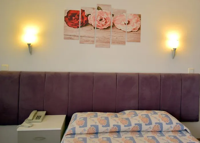 Alder Hotel Ayvalı, Türkiye